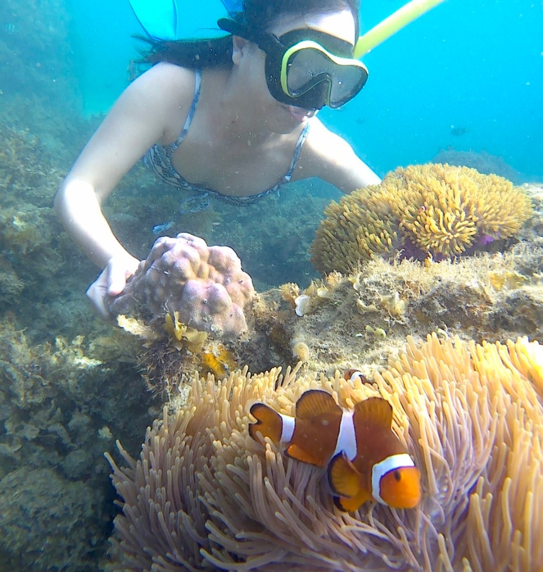 Bintan Tour